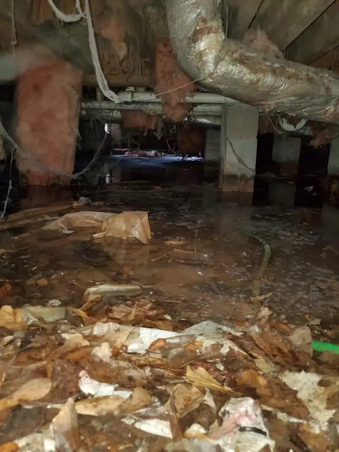 Crawl space flood assessment for Commercial Water Damage Restoration in Rosamond